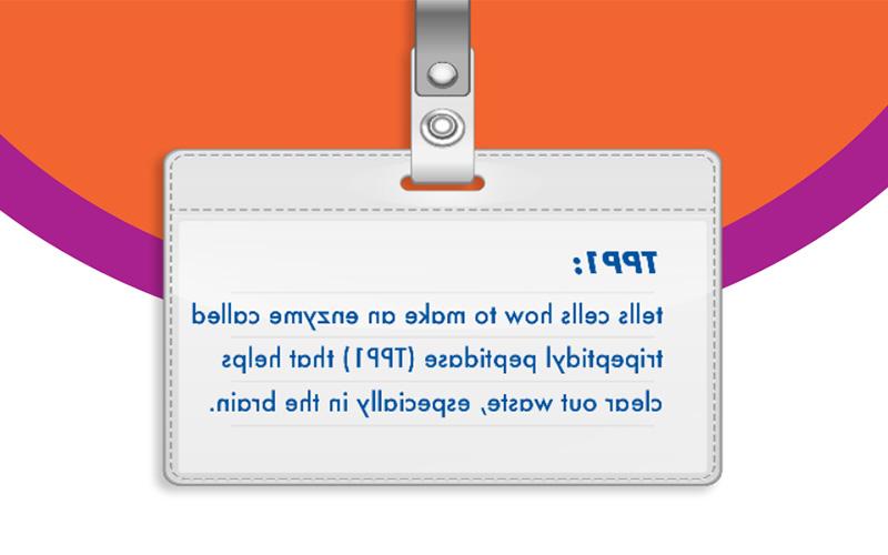 TPPI: tells cells how to make an enzyme called tripeptidyl peptidase (TTP1) that helps clear out waste, especially in the brain.